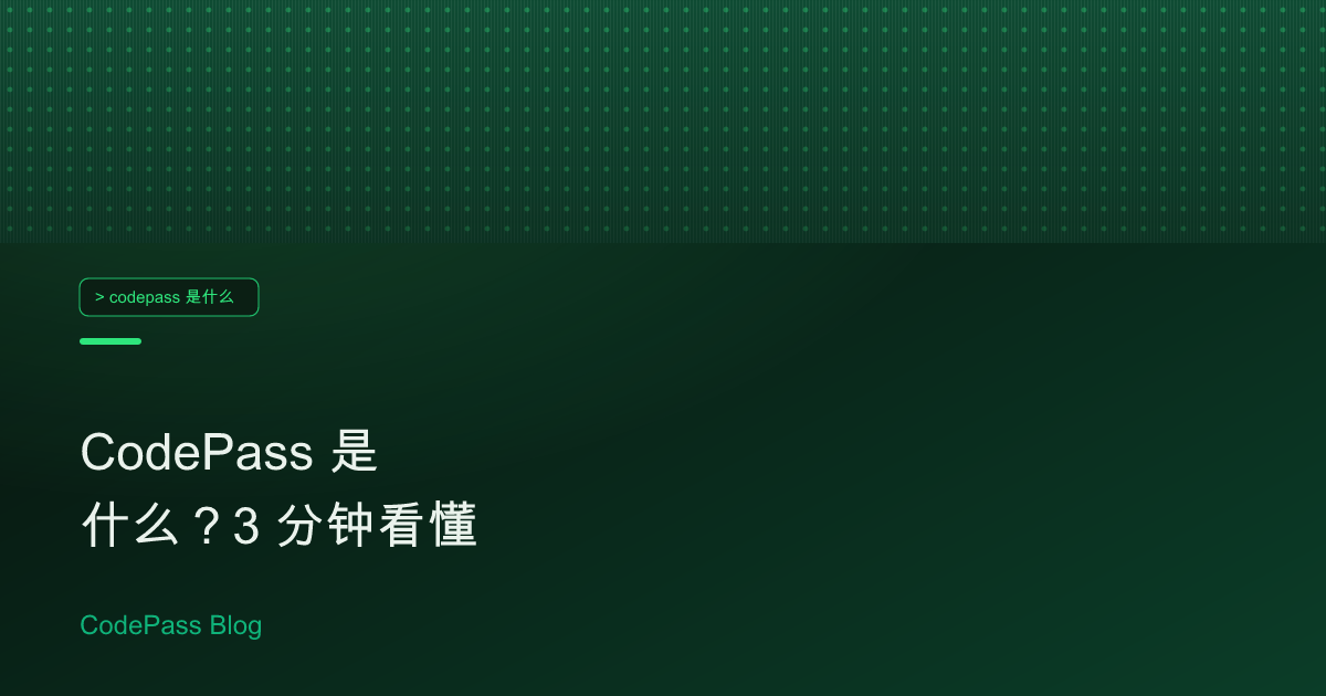 CodePass 是什么？3 分钟看懂