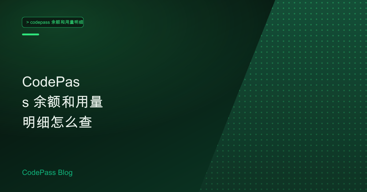 CodePass 余额和用量明细怎么查