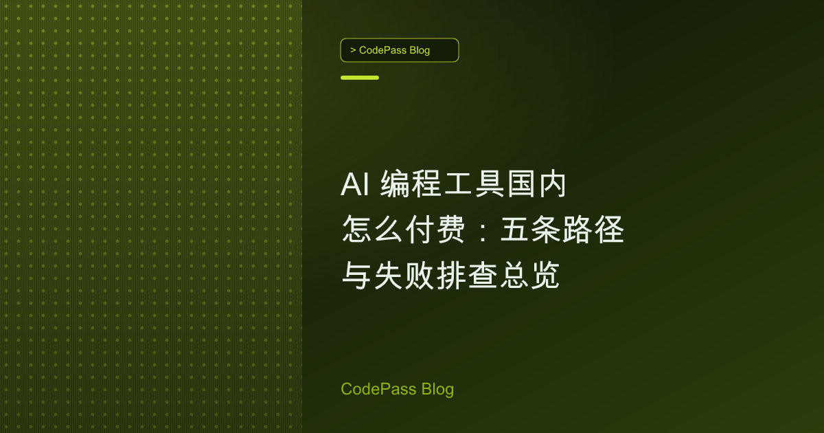 AI 编程工具国内怎么付费：五条路径与失败排查总览