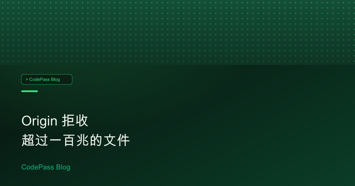 Origin 拒收超过一百兆的文件