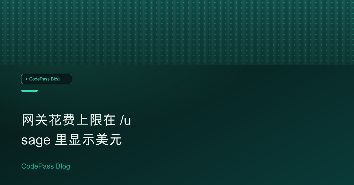 网关花费上限在 /usage 里显示美元