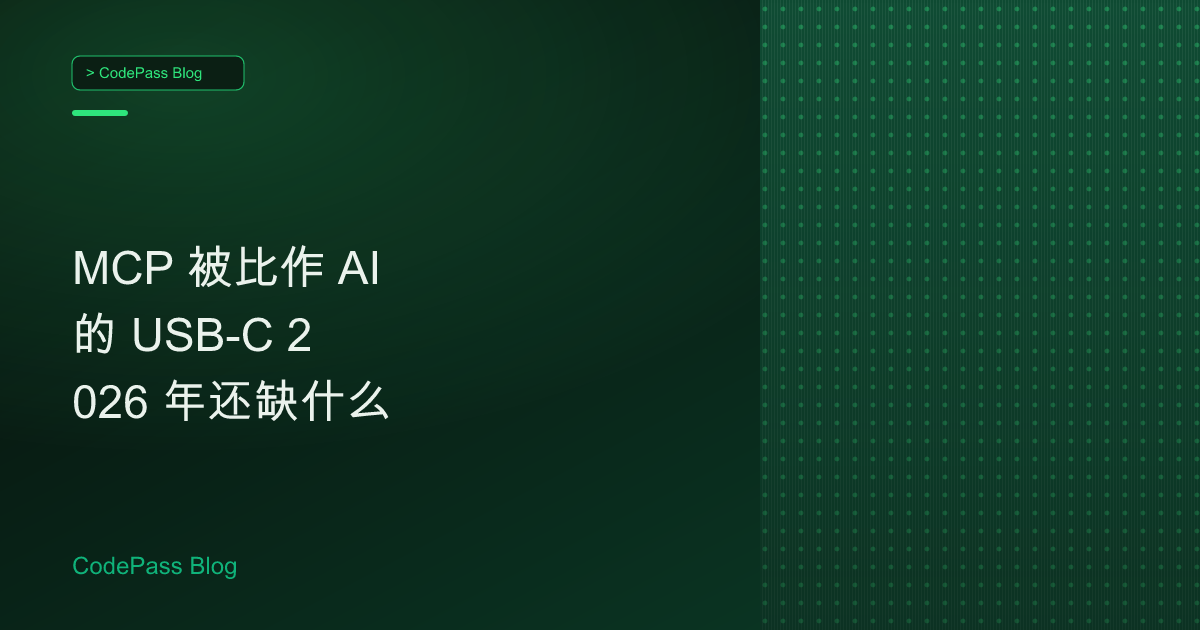 MCP 被比作 AI 的 USB-C 2026 年还缺什么
