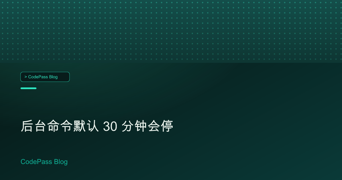后台命令默认 30 分钟会停