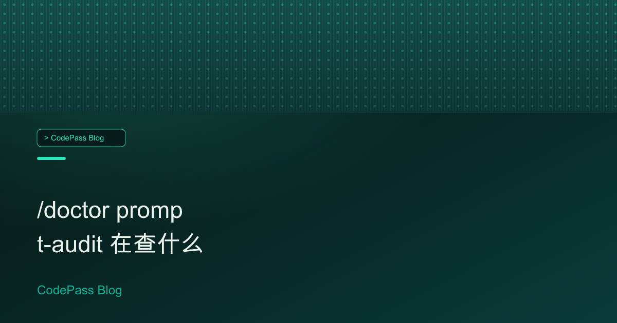 /doctor prompt-audit 在查什么