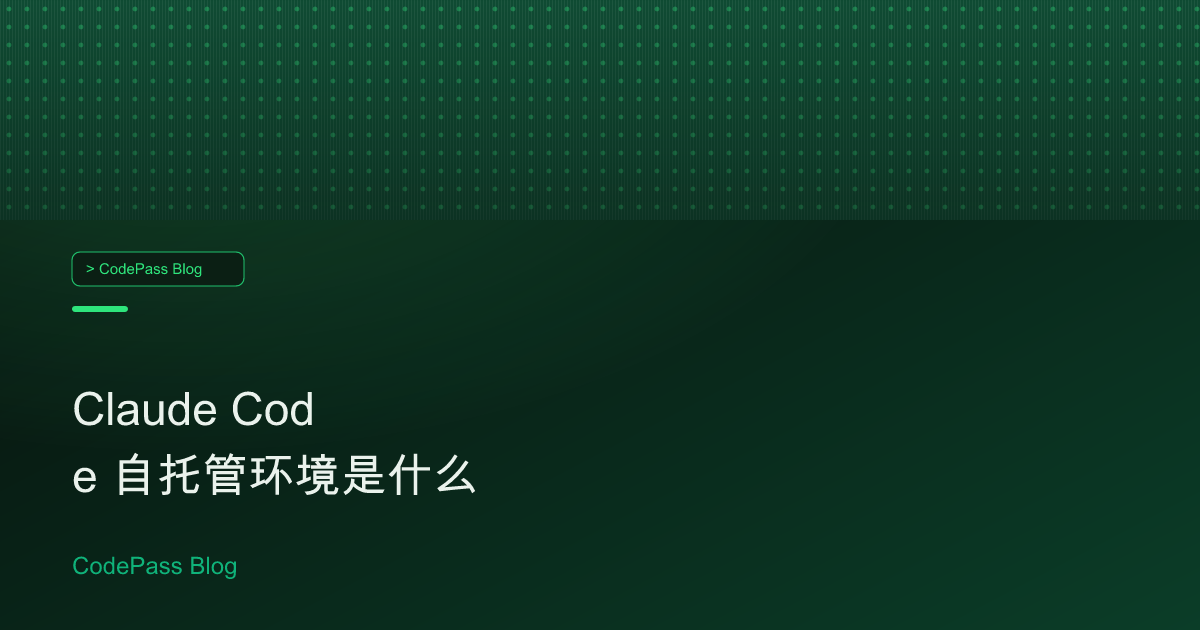 Claude Code 自托管环境是什么